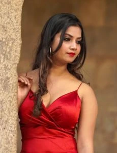 call girl service in Gauribidanur